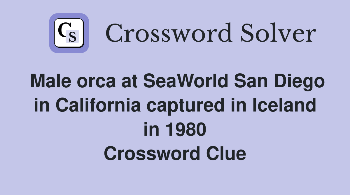 Male orca at SeaWorld San Diego in California captured in Iceland in